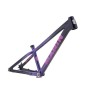 rama alcatraz 2025 purple.jpg