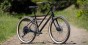 24_Lark2_detail-3.jpg