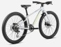 R006TTCC-KL-BACK-MX24_TEAM_D_over.jpg