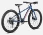 R006TTCC-KJ-BACK-MX24_TEAM_D_over.jpg