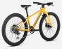 R006TTCC-KK-BACK-MX24_TEAM_D_over.jpg