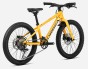 R004TTCC-KK-BACK-MX20_TEAM_D_over.jpg