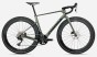 T145TTCC-IF-SIDE-TERRA_RACE_M20LTD_green.jpg