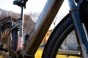 Taura_PS_detail_2.webp
